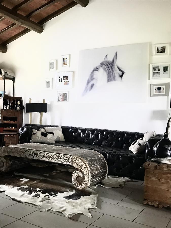 Dojo Bianco Bed & Breakfast Massa Marittima Eksteriør bilde